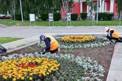 Столица Карелии преображается: появляется еще больше цветов и многолетних растений - karel.mk.ru - Карелия - Петрозаводск