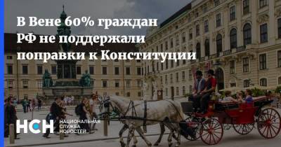 Дмитрий Любинский - В Вене 60% граждан РФ не поддержали поправки к Конституции - nsn.fm - Австрия - Россия