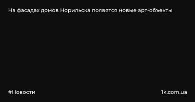 На фасадах домов Норильска появятся новые арт-объекты - 1k.com.ua - Россия - Екатеринбург - Норильск - округ Таймырский