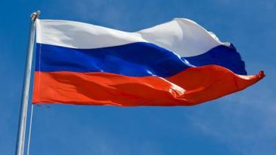 На Козлова молодые люди попытались сжечь флаг России - piter.tv - Россия - Санкт-Петербург - р-н Приморский