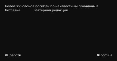 Более 350 слонов погибли по неизвестным причинам в Ботсване Материал редакции - 1k.com.ua - Англия - Ботсвана