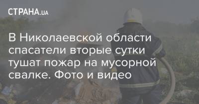 В Николаевской области спасатели вторые сутки тушат пожар на мусорной свалке. Фото и видео - strana.ua - Украина - Николаевская обл. - Гсчс