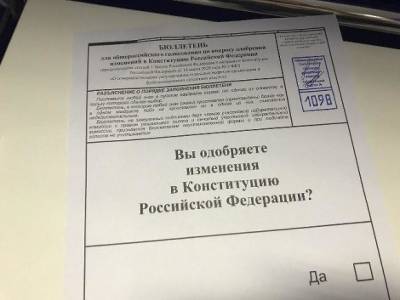 Владимир Путин - ЦИК РФ подсчитал все протоколы голосования по поправкам в Конституцию - rosbalt.ru - Россия