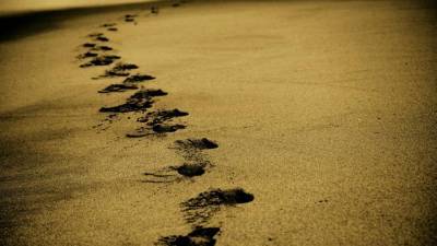 Под Анапой на пляже в песке погиб 8-летний мальчик - piter.tv - Анапа - Краснодарский край - Кубань