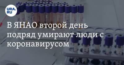 Татьяна Бучкова - В ЯНАО второй день подряд умирают люди с коронавирусом - ura.news - окр. Янао