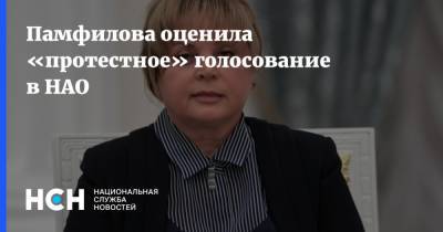 Элла Памфилова - Валерий Фадеев - Памфилова оценила «протестное» голосование в НАО - nsn.fm - Россия - окр.Ненецкий - Архангельская обл. - Нао