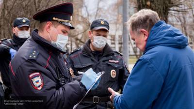 Ирина Волк - Более 180 тысяч правоохранителей работали на голосовании по поправкам - nation-news.ru - Россия