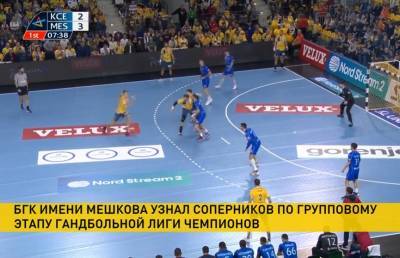 БГК им. Мешкова узнал соперников по групповому этапу Лиги чемпионов - ont.by - Белоруссия - Вена