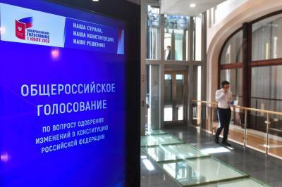 Элла Памфилова - Итоговая явка на голосовании по Конституции составила 67,97 процента - vm.ru - Россия - Конституция