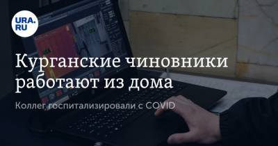 Курганские чиновники работают из дома. Коллег госпитализировали с COVID - ura.news - Курганская обл. - Шадринск