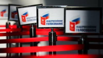 Элла Памфилова - Памфилова назвала голосование по поправкам к Конституции легитимным - 5-tv.ru - Россия
