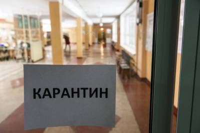 «Отрабатываем разные варианты»: Ирина Грабцевич о том, будет ли дистант у томских школьников в сентябре - tv2.today