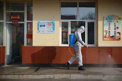В граничащей с Россией стране начали борьбу с бубонной чумой - lenta.ru - Россия - Монголия - Улан-Батор
