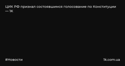 Элла Памфилова - ЦИК РФ признал состоявшимся голосование по Конституции — 1K - 1k.com.ua - Россия - Украина