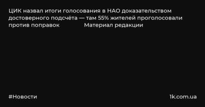 Элла Памфилова - ЦИК назвал итоги голосования в НАО доказательством достоверного подсчёта — там 55% жителей проголосовали против поправок Материал редакции - 1k.com.ua - окр.Ненецкий