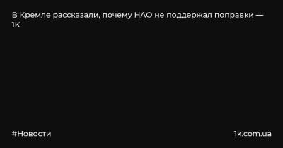 Дмитрий Песков - В Кремле рассказали, почему НАО не поддержал поправки — 1K - 1k.com.ua - Россия - окр.Ненецкий - Нао