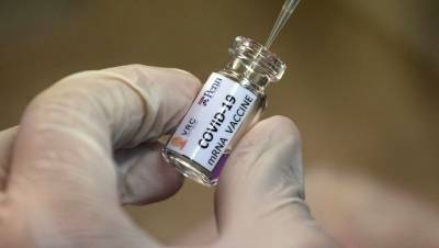 Российские ученые разрабатывают вакцину от коронавируса для кошек - gazeta.ru - Голландия