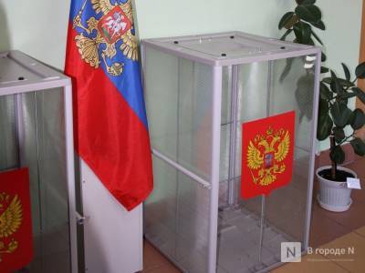 73,91% нижегородцев приняли участие в голосовании по поправкам в Конституцию - vgoroden.ru - Нижегородская обл.