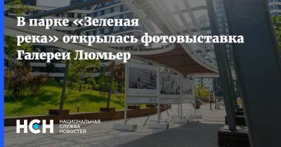 В парке «Зеленая река» открылась фотовыставка Галереи Люмьер - nsn.fm - Москва