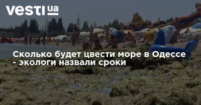 Сколько будет цвести море в Одессе - экологи назвали сроки - vesti.ua - Одесса - Черное Море