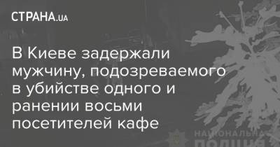 В Киеве задержали мужчину, подозреваемого в убийстве одного и ранении восьми посетителей кафе - strana.ua - Киев - Житомирская обл. - район Киева