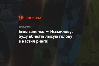 Магомед Исмаилов - Александр Емельяненко - Емельяненко — Исмаилову: буду вбивать лысую голову в настил ринга! - championat.com - Москва - Россия