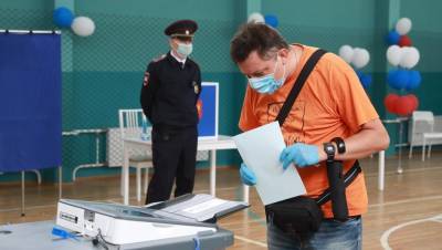 Виктор Миненко - В Петербурге подвели итоги голосования по поправкам к Конституции - dp.ru - Санкт-Петербург