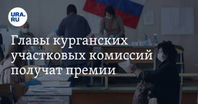 Главы курганских участковых комиссий получат премии. Уже решено, кому повезет - ura.news - Курганская обл. - Шадринск