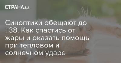 Синоптики обещают до +38. Как спастись от жары и оказать помощь при тепловом и солнечном ударе - strana.ua - Киев - Николаев - Донецк - Херсон - Харьков - Запорожье - Луганск - Черкассы - Полтава - Сумы