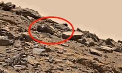Скотт Уоринг - Скотт Уоринг обнаружил на снимке Марса мертвое тело инопланетянина - actualnews.org