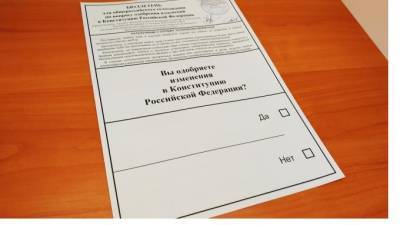 Поправки в Конституцию: где в Петербурге проголосовали против - piter.tv - Санкт-Петербург - Антарктида