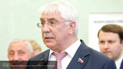 Алексей Чепа - Депутат Госдумы Чепа призвал серьезно наказать авторов фейков о голосовании по Конституции - inforeactor.ru - Россия