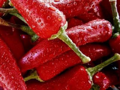 Эксперты назвали веские причины, чтобы полюбить острую пищу - golos.ua - New York