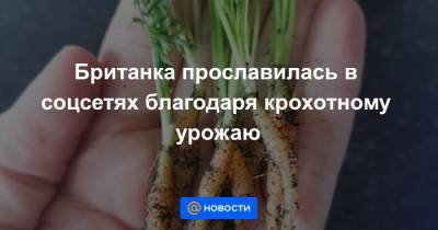 Екатерина Гура - Британка прославилась в соцсетях благодаря крохотному урожаю - news.mail.ru - Лондон