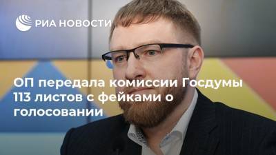 Александр Малькевич - Василий Пискарев - ОП передала комиссии Госдумы 113 листов с фейками о голосовании - ria.ru - Москва - Россия