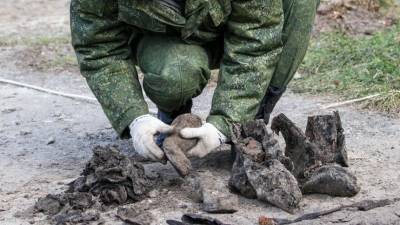 Останки почти красноармейцев нашли под Тулой — видео - 5-tv.ru - Тула - Тульская обл.