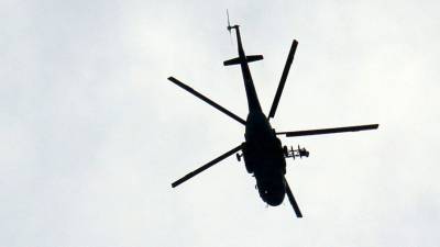 Два нидерландских военных погибли при падении вертолета в Карибском море - gazeta.ru - Голландия - Аруба