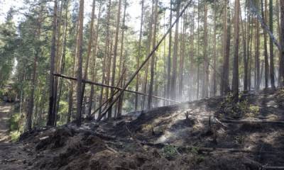 В Башкирии горят особо охраняемые территории и заповедники - fedpress.ru - Башкирия - Уфа - район Учалинский
