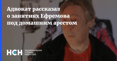 Михаил Ефремов - Эльман Пашаев - Адвокат рассказал о занятиях Ефремова под домашним арестом - nsn.fm