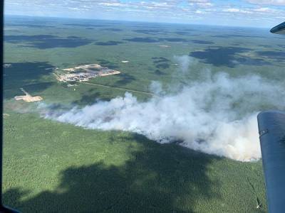 На 20 июля в Югре выгорело почти 30 тыс. гектаров леса - znak.com - Югра - Октябрьск - р-н Советский - Березовск - район Ханты-Мансийский