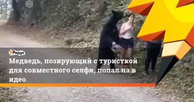 Медведь, позирующий стуристкой для совместного селфи, попал навидео - ridus.ru - Мексика