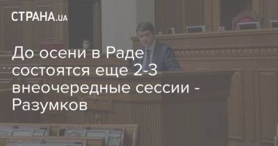 Дмитрий Разумков - До осени в Раде состоятся еще 2-3 внеочередные сессии - Разумков - strana.ua - Украина