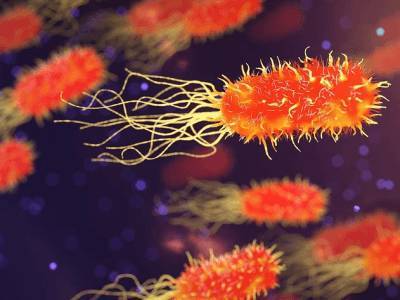 Биологи заявили, что человек не может выиграть войну против бактерий - live24.ru - Канада