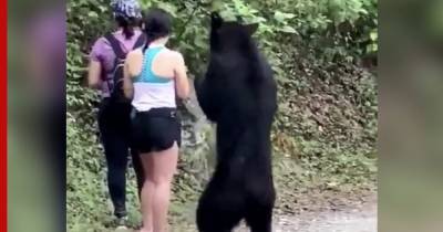 В Мексике медведь хотел «поухаживать» за туристами и сделал с ними фото - profile.ru - Мексика