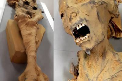 Захи Хавасс - Ученые смогли раскрыли тайну смерти "кричащей мумии" - vkcyprus.com - Египет - Каир