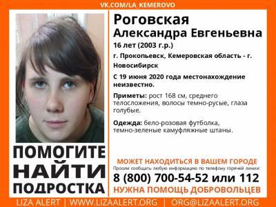 В Кузбассе разыскивают 16-летнюю девушку - gazeta.a42.ru - Прокопьевск