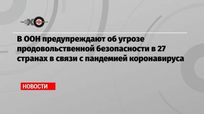 В ООН предупреждают об угрозе продовольственной безопасности в 27 странах в связи с пандемией коронавируса - echo.msk.ru - Афганистан - Йемен - Зимбабве - Гаити - Эфиопия - Сомали