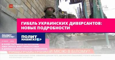 Гибель украинских диверсантов: Новые подробности - politnavigator.net - Украина - Киев - Эстония - ДНР - Донецк - Донбасс