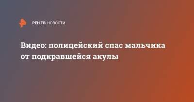 Австралия - Видео: полицейский спас мальчика от подкравшейся акулы - ren.tv - New York - шт.Флорида