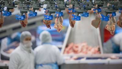 Роберт Кох - Берлин - Вспышка коронавируса в Нижней Саксонии: еще один округ могут отправить на карантин - germania.one - Германия